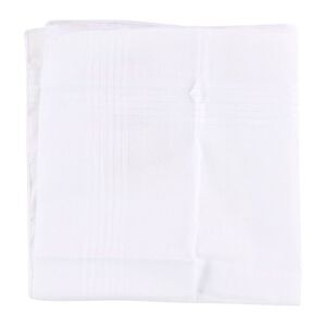 Tags Weekly Mens Texture Stripe Pocket Square, NWT